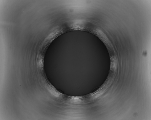 X0000091000573200708091542