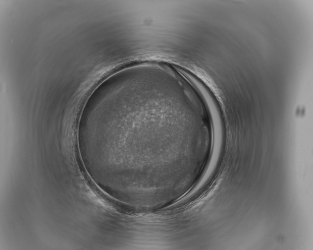X0000091000577200708091542