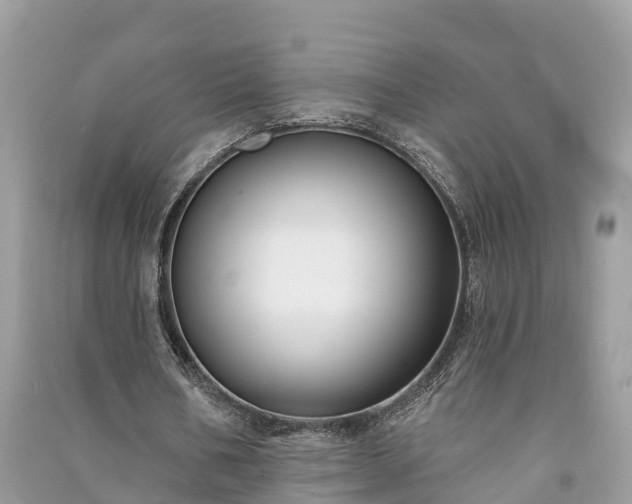 X0000091000578200708091542