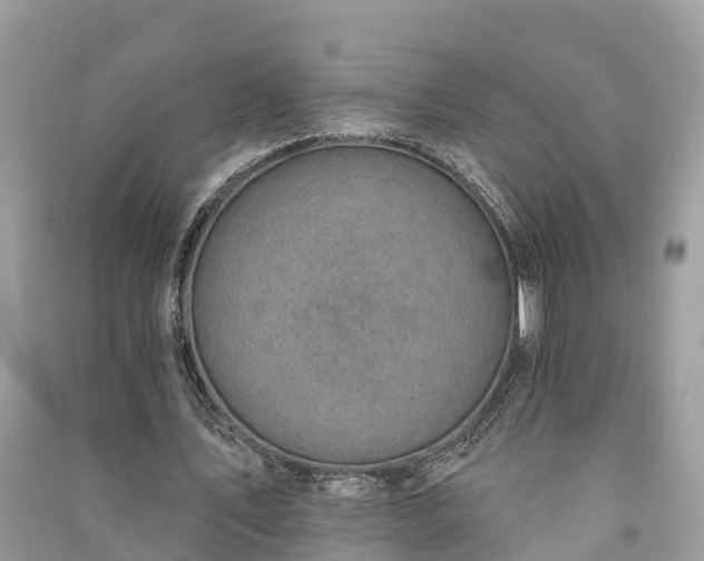 X0000091000579200708091542