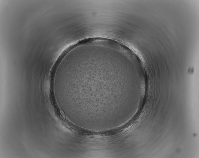 X0000091000580200708091542