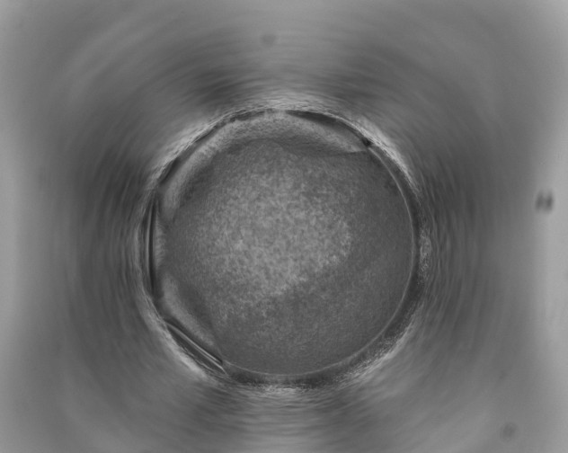 X0000091000581200708091542