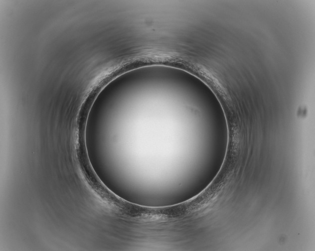 X0000091000582200708091542
