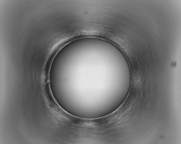 X0000091000583200708091542
