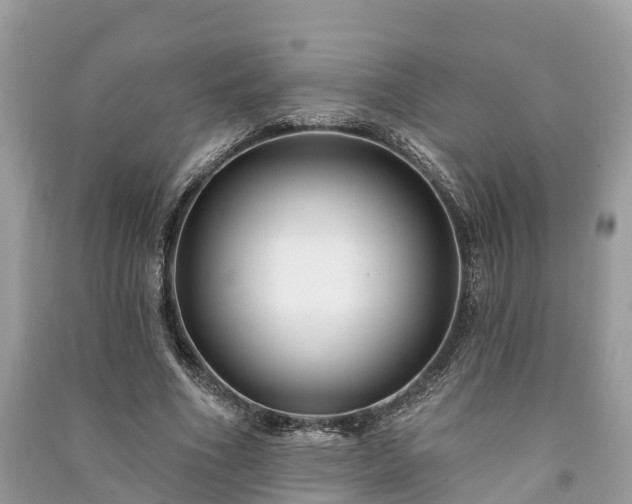 X0000091000586200708091542