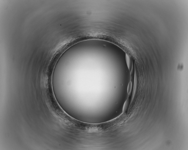 X0000091000587200708091542