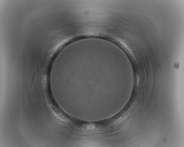 X0000091000588200708091542