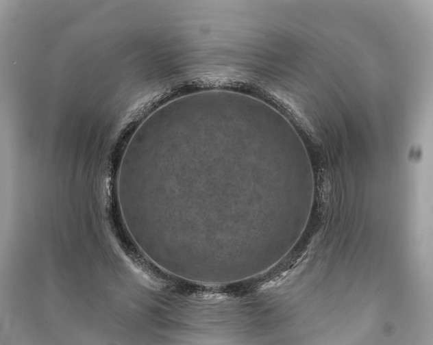 X0000091000590200708091542