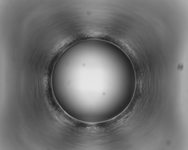 X0000091000591200708091542