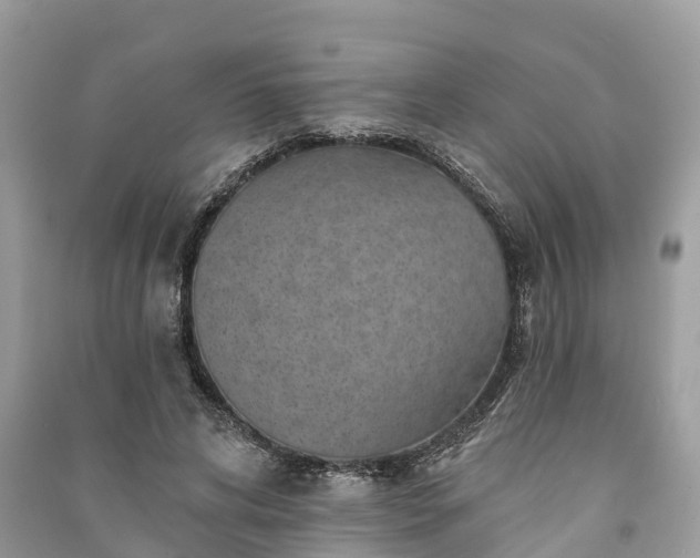 X0000091000592200708091542