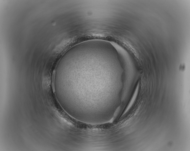 X0000091000593200708091541