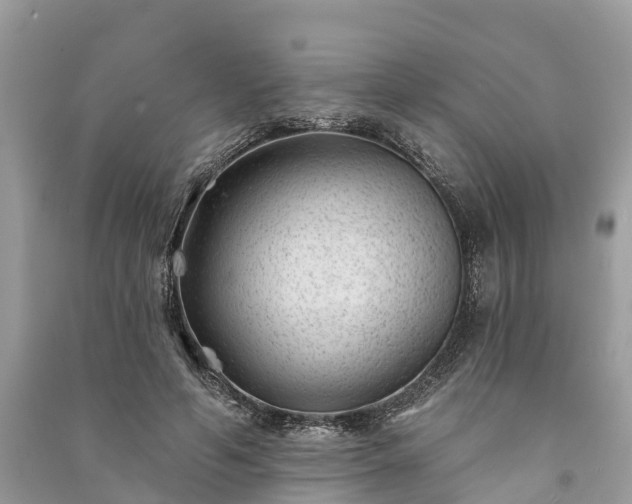 X0000091000594200708091541