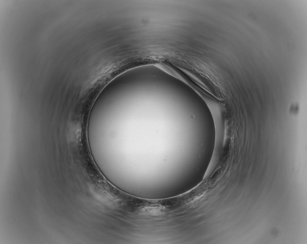 X0000091000595200708091541