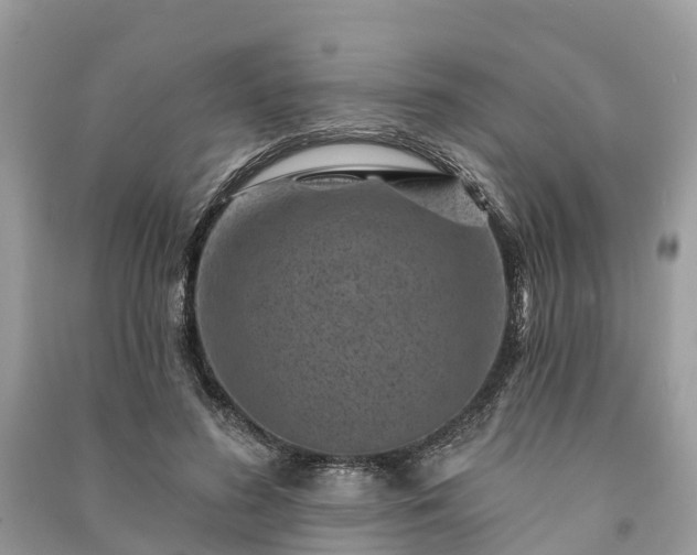 X0000091000596200708091541