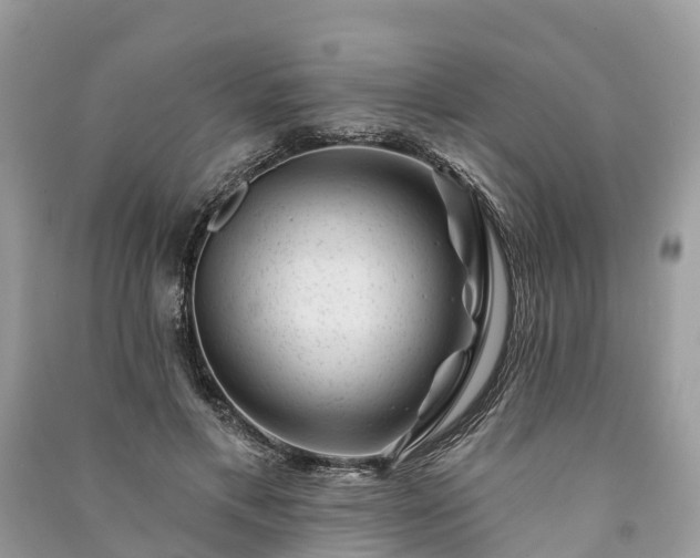X0000091000597200708091541