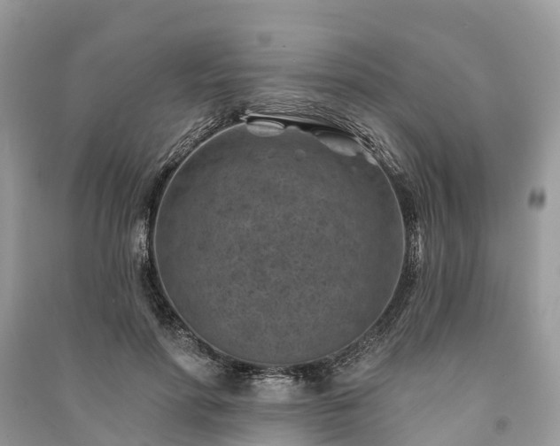 X0000091000598200708091541