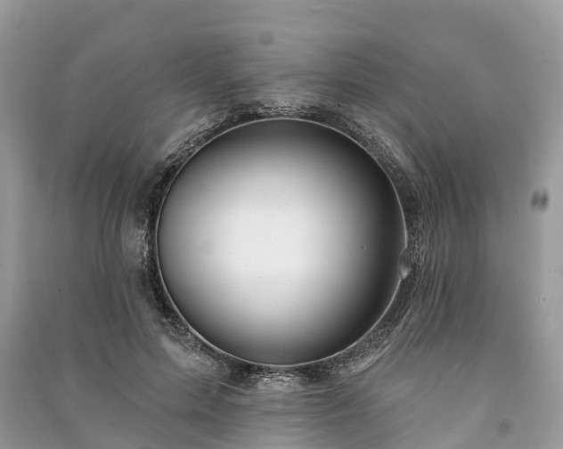 X0000091000599200708091541