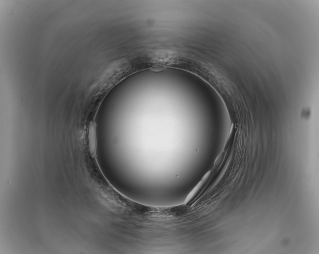 X0000091000601200708091541