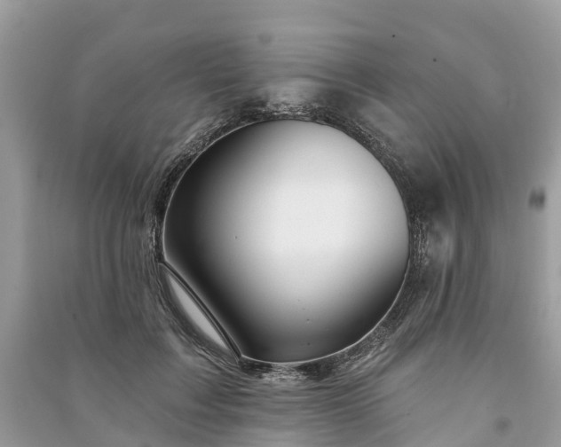 X0000091000603200708091541