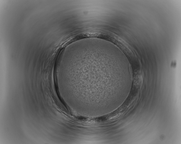 X0000091000604200708091541