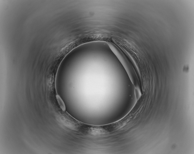 X0000091000605200708091541