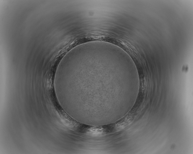 X0000091000606200708091541