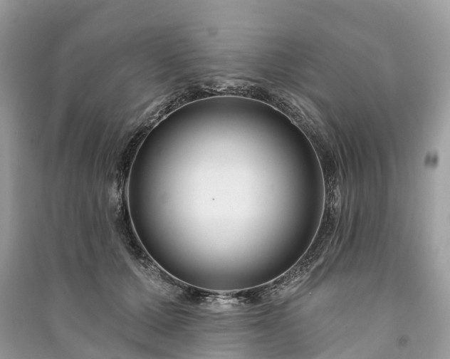 X0000091000607200708091541