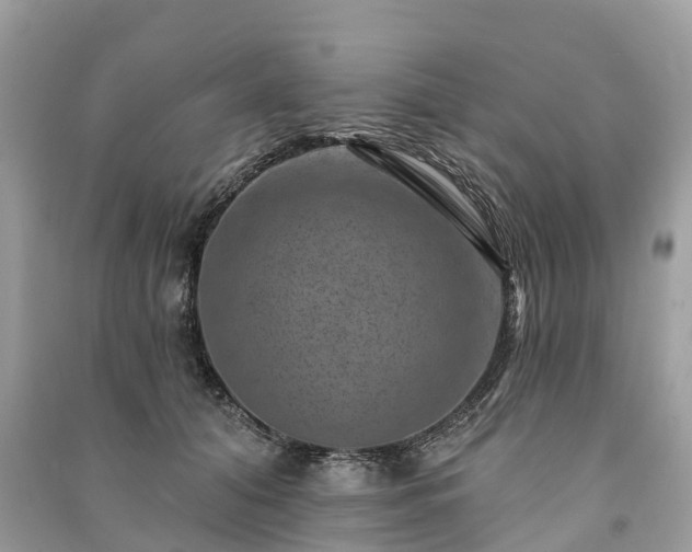 X0000091000608200708091541