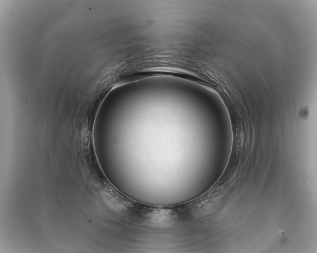 X0000091000609200708091541