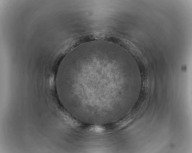X0000091000610200708091541