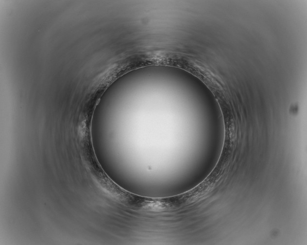 X0000091000611200708091541
