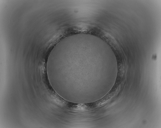X0000091000612200708091541