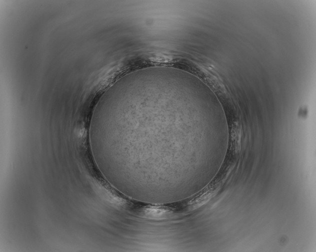X0000091000614200708091541