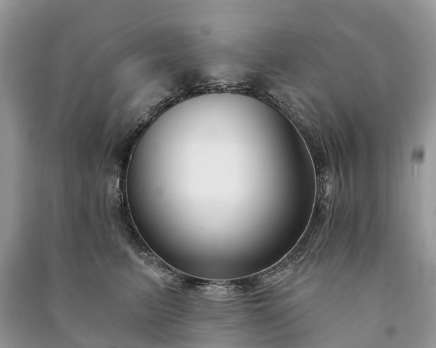 X0000091000615200708091541