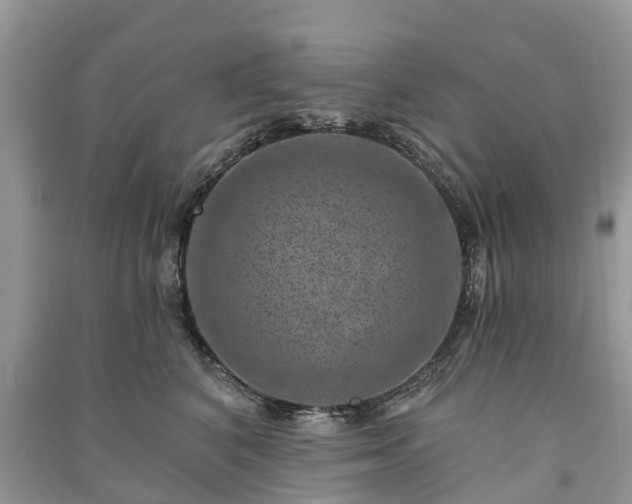 X0000091000616200708091541