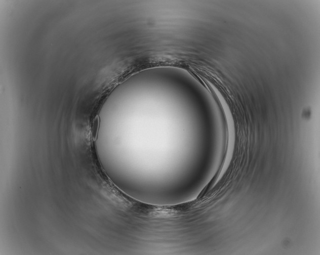 X0000091000617200708091541