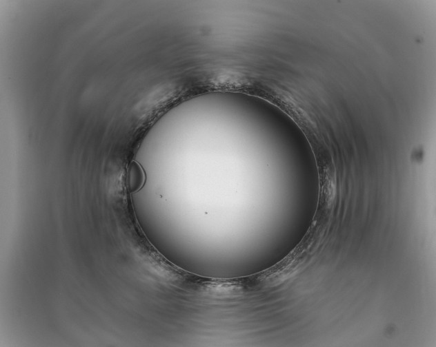 X0000091000619200708091541
