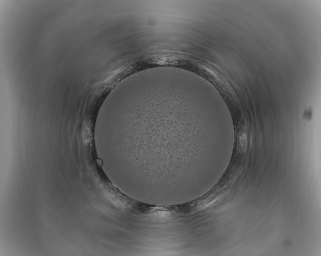 X0000091000620200708091541