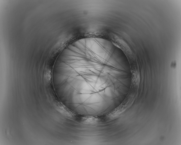 X0000091000621200708091541