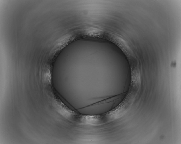 X0000091000622200708091541