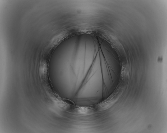 X0000091000623200708091541