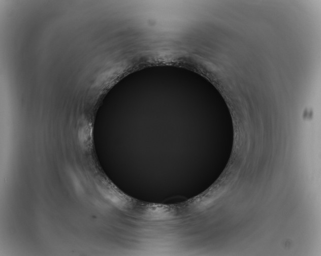 X0000091000624200708091541