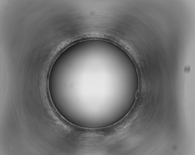 X0000091000625200708091540