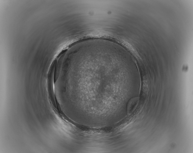 X0000091000626200708091540