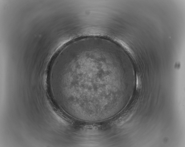 X0000091000627200708091540