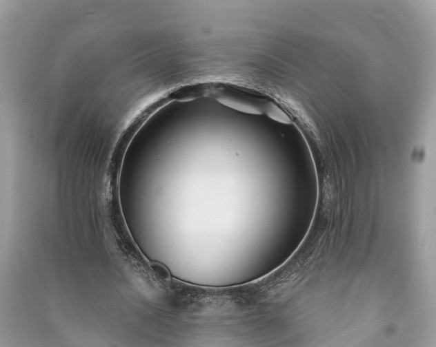 X0000091000628200708091540