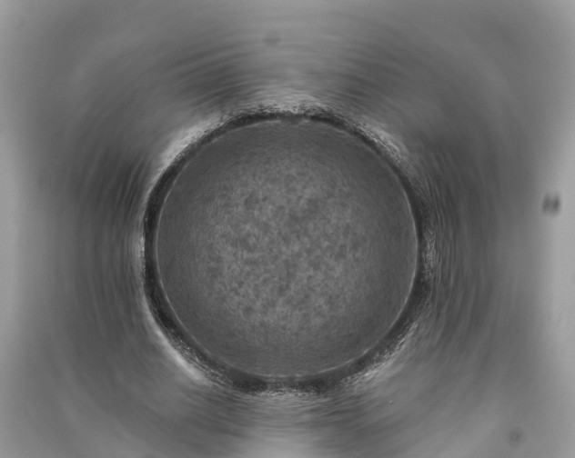 X0000091000630200708091540