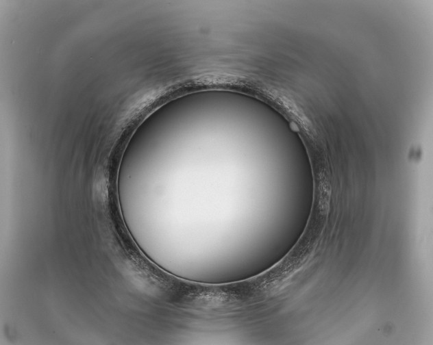 X0000091000631200708091540