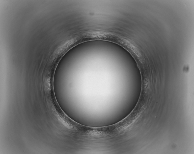 X0000091000633200708091540
