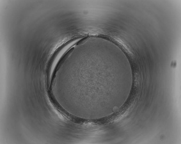 X0000091000634200708091540